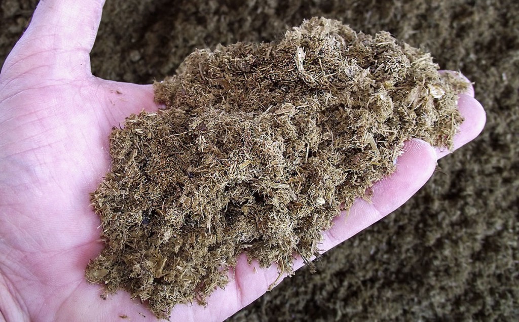 beddingrecovery Trident TNZ