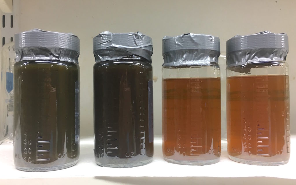 Manure effluent samples