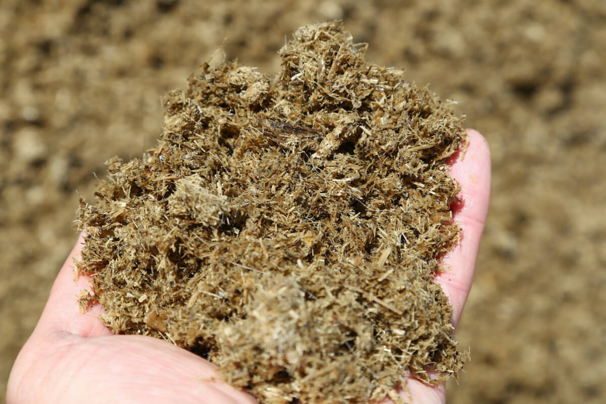 Manure treatment recovers organic fiber from dairy manure